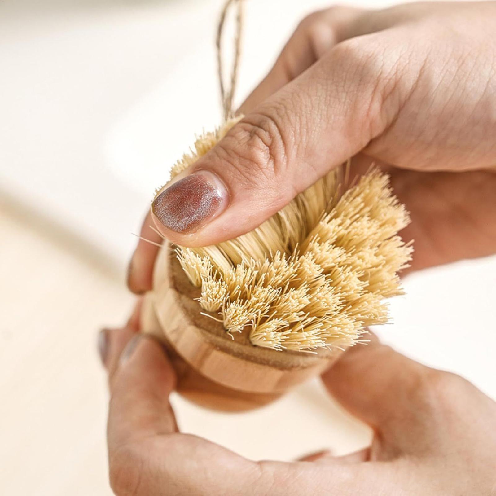 Küchenreinigungsbürste aus Hol – Dish Brush Bamboo Bewertung und Preis